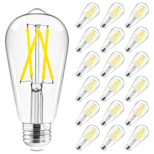 Edison Bulbs Dimmable (18 Count)