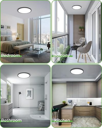 12 Inch Black Ceiling Light (2 Count)