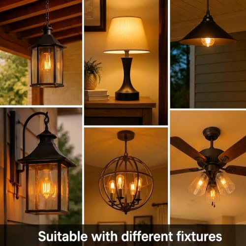 Vintage Edison LED Light Bulbs (4 Count)