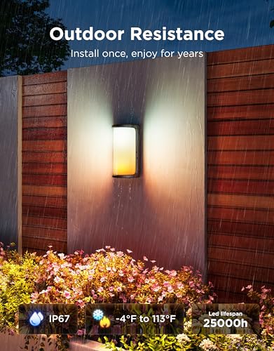 Outdoor Wall Light Pro (2 Count)