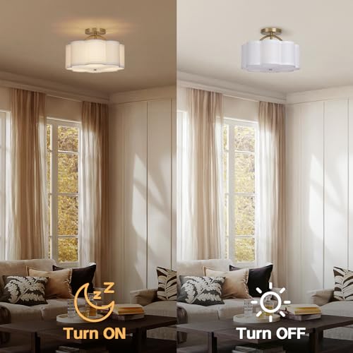 Semi Flush Mount Ceiling Light