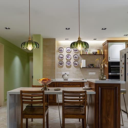 Plug in Pendant Light Fixtures