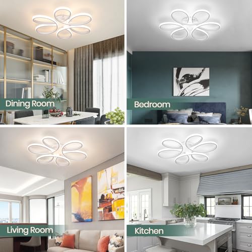 26inch Modern LED Ceiling Light