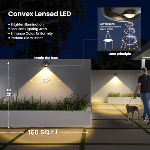 Solar Lights Waterproof IP65 (6 Count)