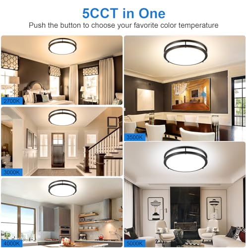 DLLT Flush Mount LED Ceiling Light
