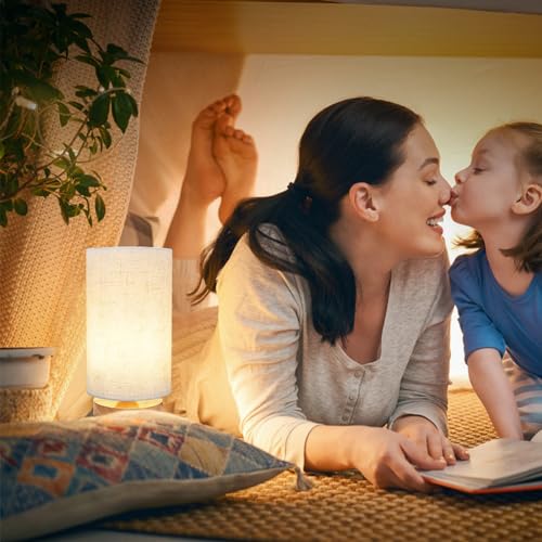 Small Bedside Table Lamp for Bedroom set of 2 (2 Count)