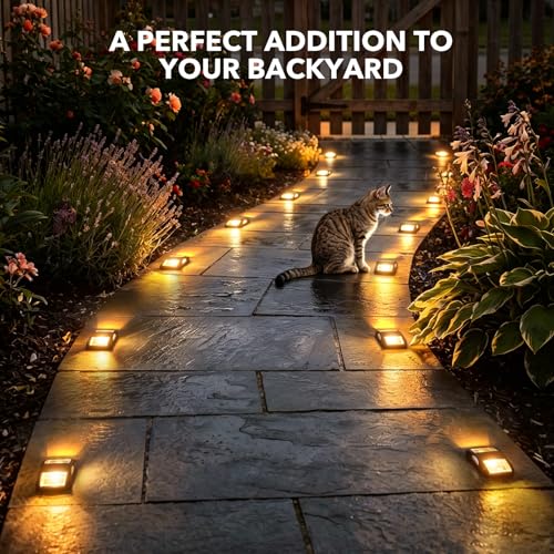 Solar Driveway Light 1 Pack