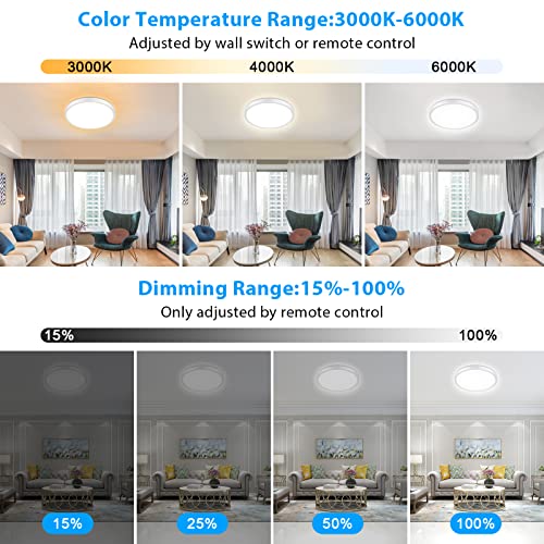 Dimmable Ceiling Light with Remote Control