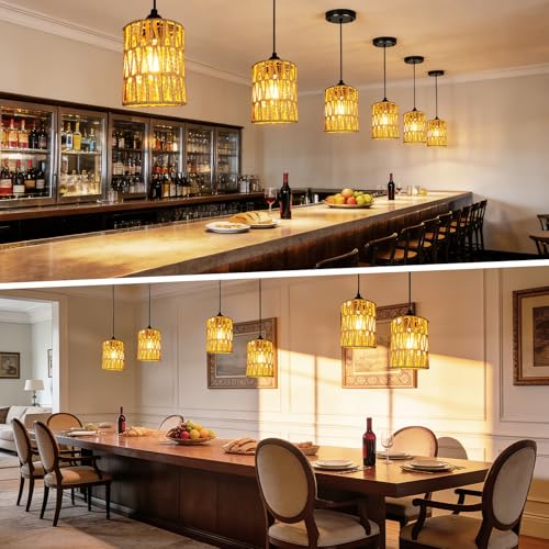 6 Pack Rattan Lamp Shades Boho Hanging Light Lamp Shades (6 Count)