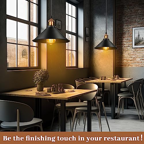 6 Pcs Industrial Pendant Light (6 Count)