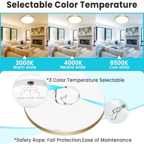 12 Inch LED Ceiling Light Golden (2 Count)