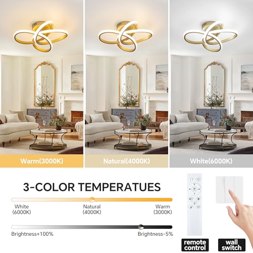 Modern Ceiling Light
