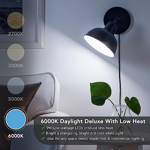 A19 LED Light Bulbs (4 Count)