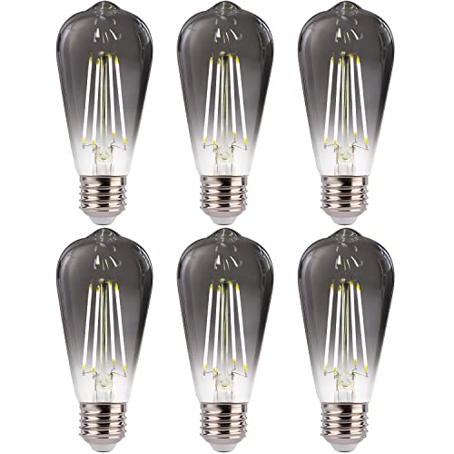LED Edison Bulbs (6 Count)