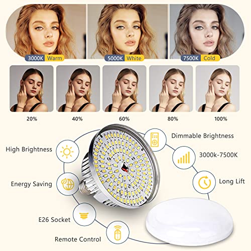 Softbox Photography Lighting Kit