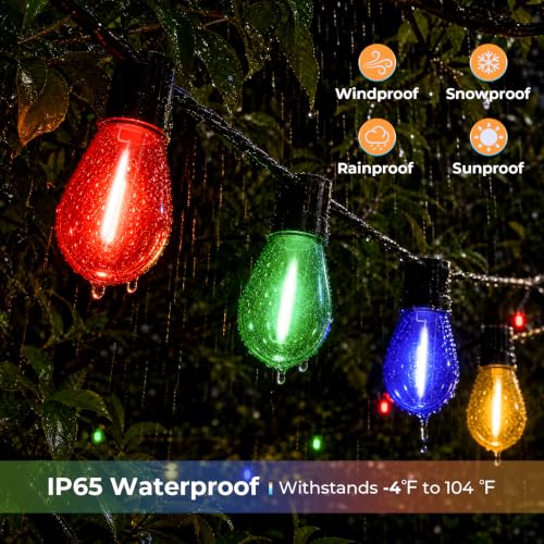 S14 Colored LED Outdoor String Bulbs for Christmas (24 Count)