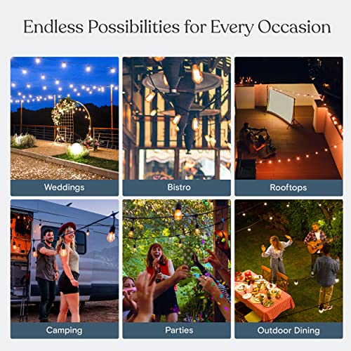 Ambience Pro Waterproof LED Outdoor String Lights (48 Foot)
