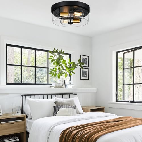 Flush Mount Ceiling Light Fixtures