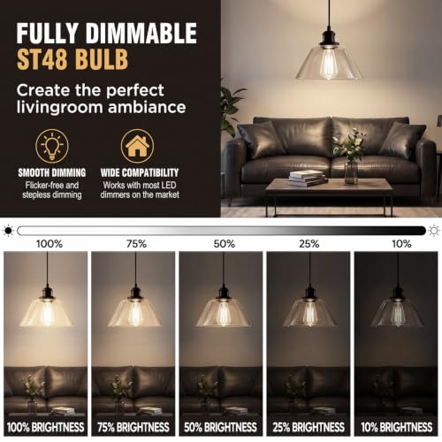 Vintage LED Edison Light Bulbs