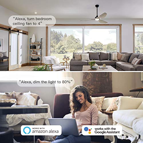 Smart Ceiling Fan Control and Dimmer Light Switch 2Pack (2 Count)