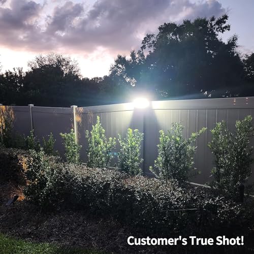 Solar Outdoor Lights (2 Count)