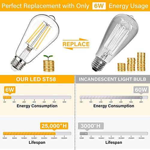 Dimmable Vintage LED Edison Bulbs 60W Equivalent 6W 850 Lumens (12 Count)
