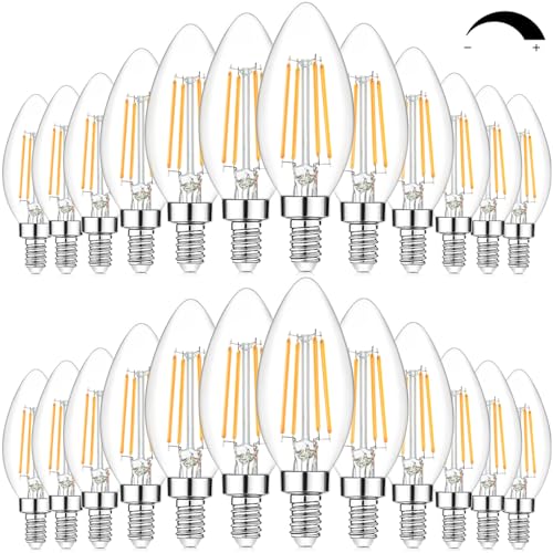 24 Pack Dimmable E12 LED Candelabra Bulbs 60W Equivalent (24 Count)