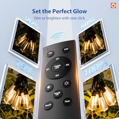 100FT(50FT*2) Outdoor String Lights ST38 LED with Remote Waterproof (100 Foot)