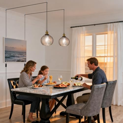 Modern Plug in Hanging Light