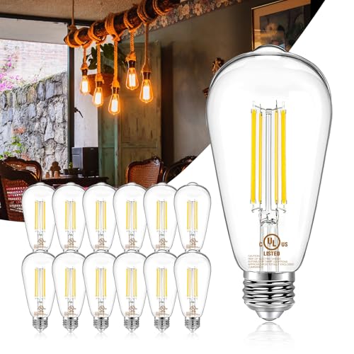 12 Pack Vintage LED Edison Bulbs (12 Count)
