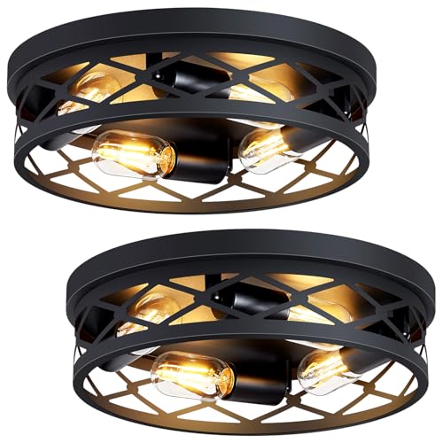 Flush Mount Ceiling Light Fixture (2 Count)