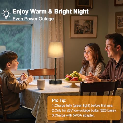 Cordless Table Lamps Set of 2 (2 Count)