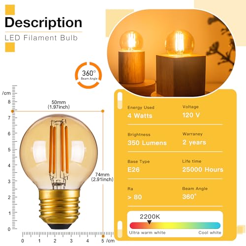 Dimmable G16.5 Amber Edison light Bulb 40 Watt (6 Count)