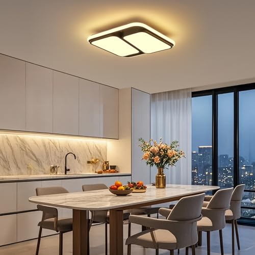 Modern LED Ceiling Light Fixture