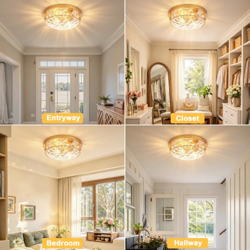 Gold 2 Light Ceiling Light Fixture with Hammered Glass