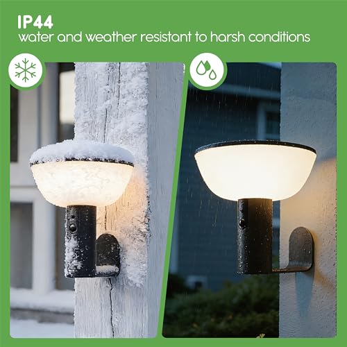 Solar Wall Lights (2 Count)