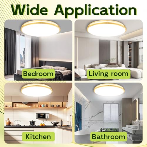 32 Inch Oval LED Ceiling Light