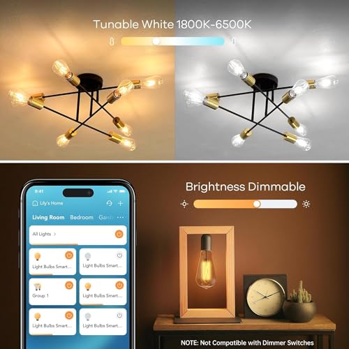 Matter Smart Edison Light Bulbs (4 Count)