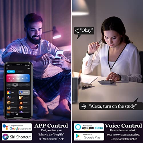 Smart Light Bulb