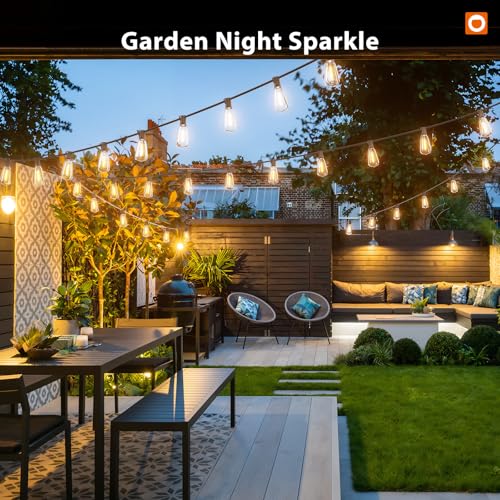 196(49FT*4) Outdoor String Lights with APP LED Edison Waterproof (196 Foot)