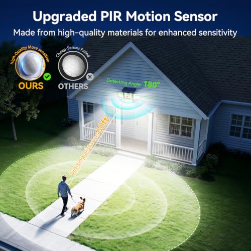 Solar Flood Lights (2 Count)