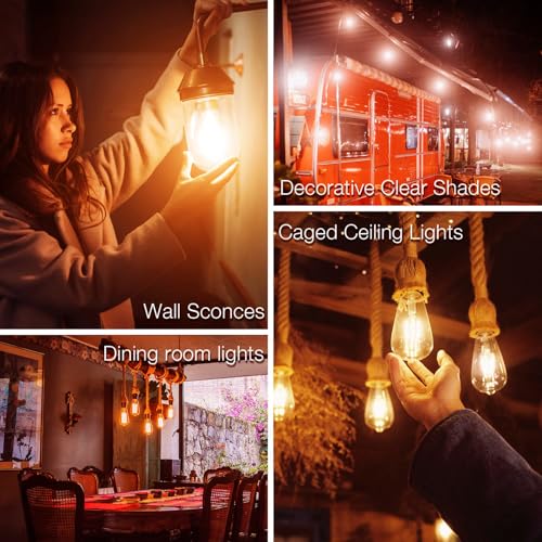 4 Pack Vintage LED Edison Bulbs (4 Count)