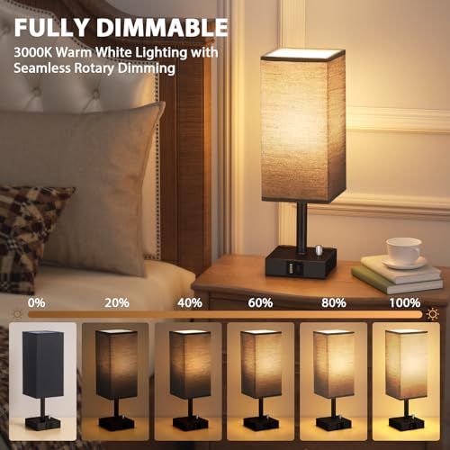 Black Bedside Table Lamps Set of 2 (2 Count)