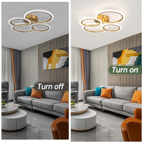 Modern LED Ceiling Light