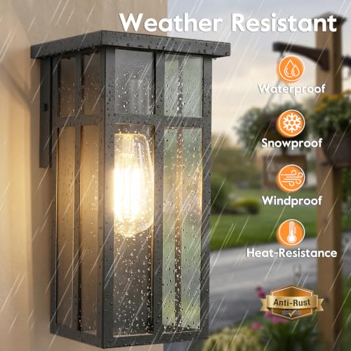 Outdoor Wall Light Fixtures (2 Count)