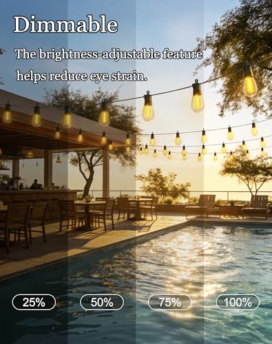 50ft Solar Powered Lights Outdoor (50 Foot)
