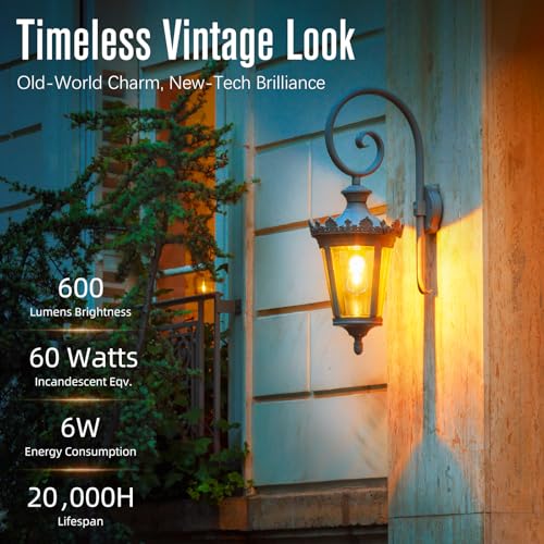 Soft White 2700K Edison Bulbs 60 watt Equivalent (24 Count)