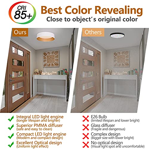 Flush Mount Ceiling Light