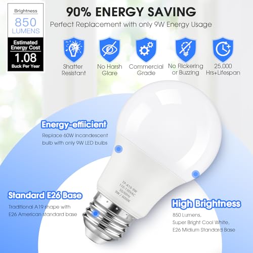 A19 LED Light Bulbs (24 Count)