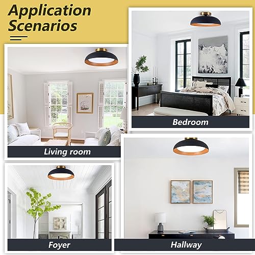 Flush Mount Ceiling Light
